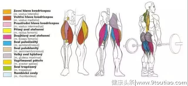 56张图告诉你每个部位怎么练！