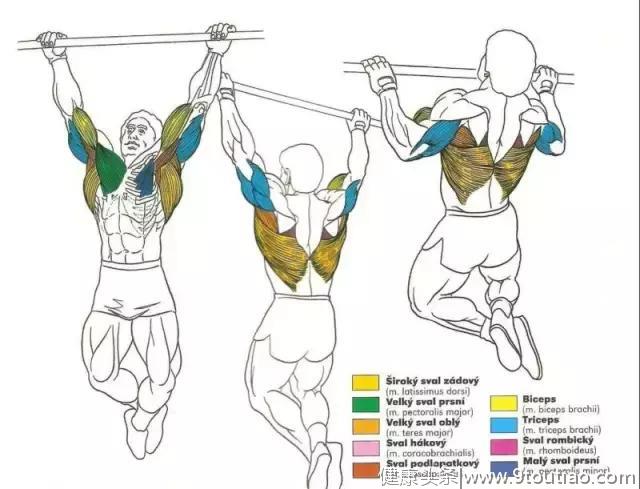 56张图告诉你每个部位怎么练！
