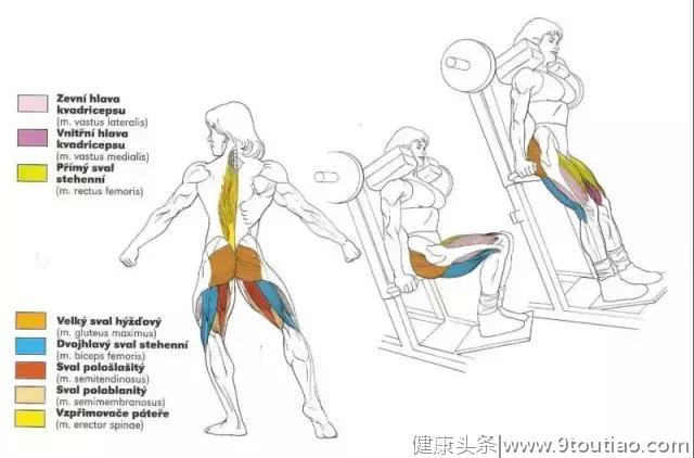 56张图告诉你每个部位怎么练！