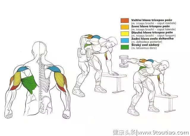56张图告诉你每个部位怎么练！