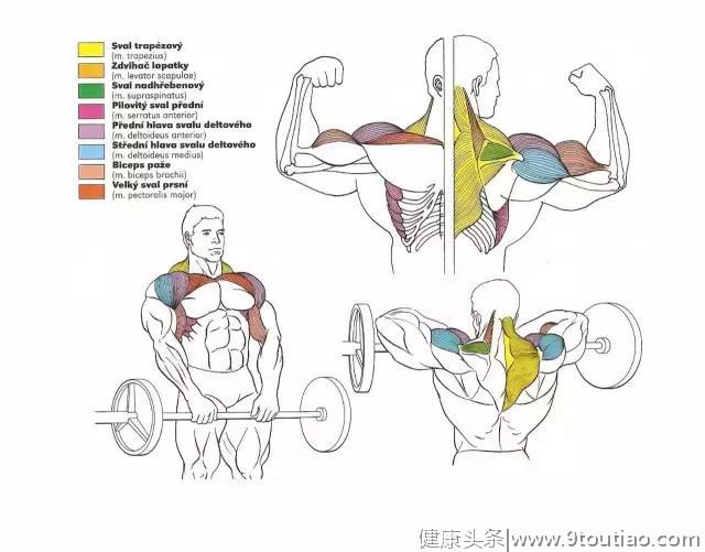 56张图告诉你每个部位怎么练！