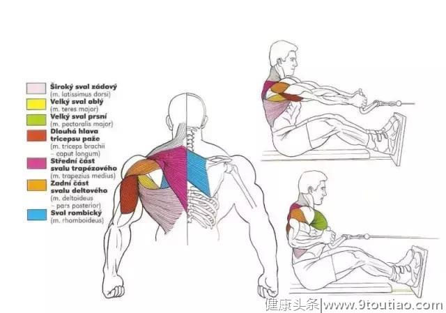 56张图告诉你每个部位怎么练！