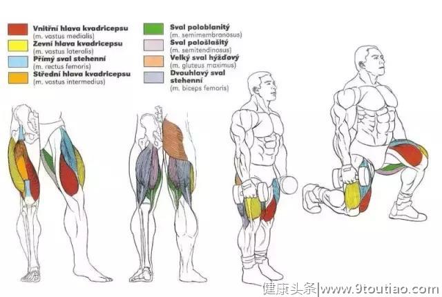 56张图告诉你每个部位怎么练！