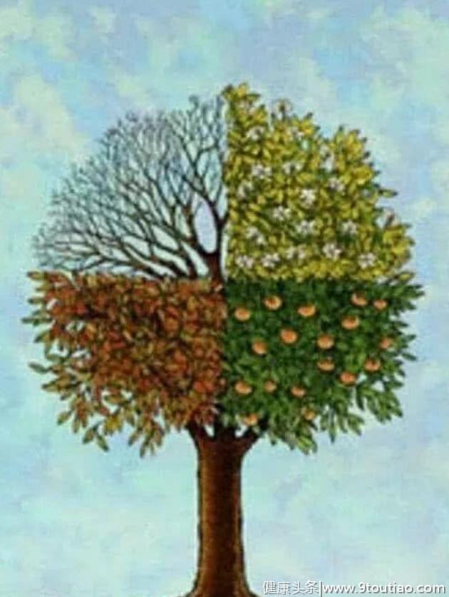 心理测试：4棵树，哪棵最有创意？测你命里的财运有多旺！