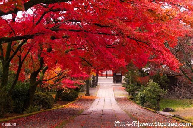 心理学：你最喜欢哪处风景，测出你这一生是否顺心如意