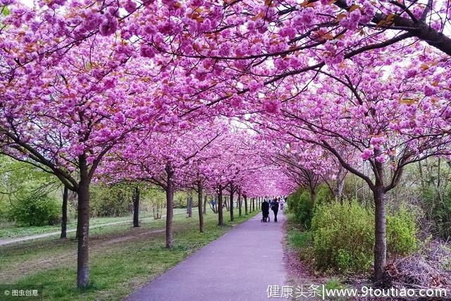 心理学：你最喜欢哪处风景，测出你这一生是否顺心如意