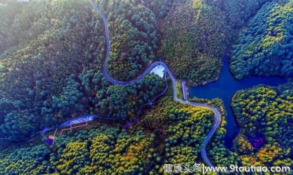 森林体验+森林养生！贵州5地入选国家重点建设名单