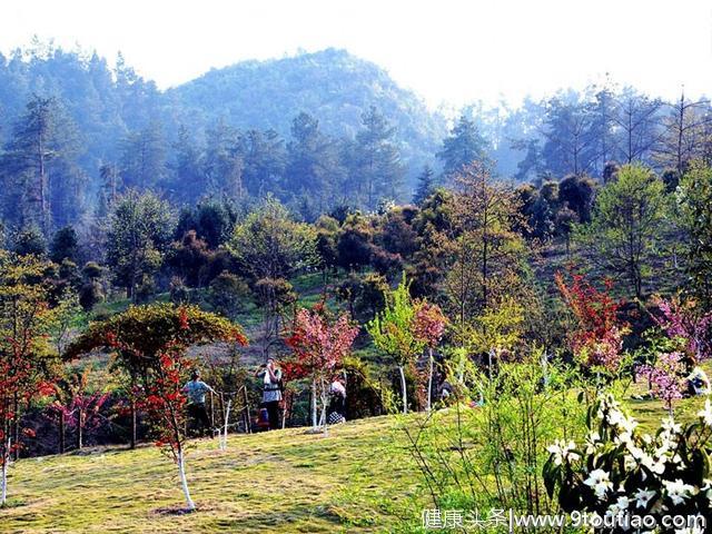 森林体验+森林养生！贵州5地入选国家重点建设名单