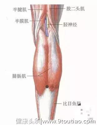 武当祝玄冲：《张三丰针灸秘诀》浅注