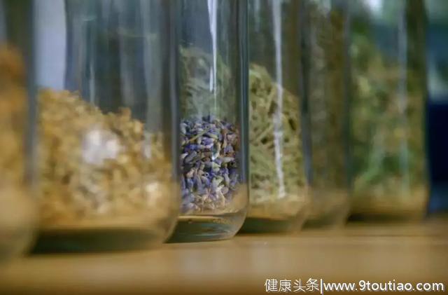 建议：4种中药降血压“有一手”，值得尝试！