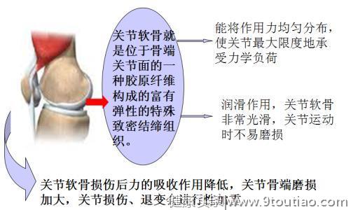 骨关节炎只能换人工关节？这种治疗方法改善炎症没有副作用。