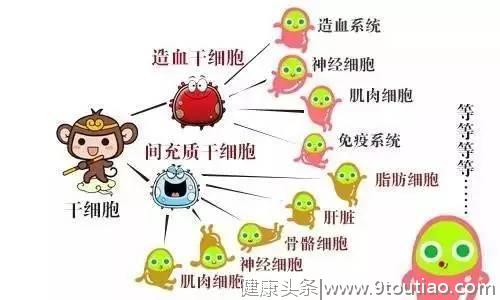 骨关节炎只能换人工关节？这种治疗方法改善炎症没有副作用。