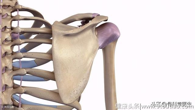 骨科医生：肩周炎就是这2块肌肉，1根神经有了问题导致的