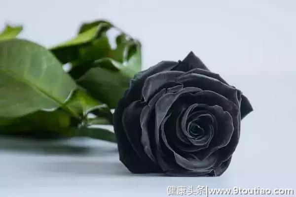 心理测试:选1朵黑玫瑰,测前任有多后悔和你分手!