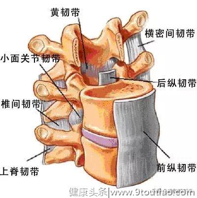 如果你认为瑜伽就是拉韧带，那你就错了！