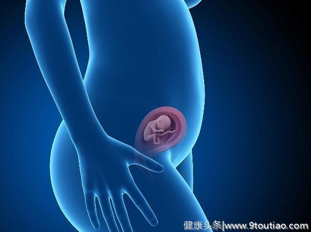 怀孕初期，是胎儿发育的关键期，孕妈要清楚这些情况