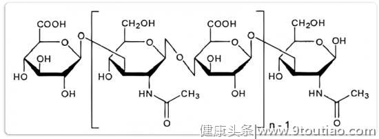 只有人类才会得癌症？研究表明：几乎所有动物都会得癌症