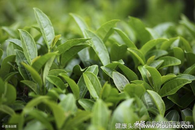 多喝绿茶可以预防肠癌吗？