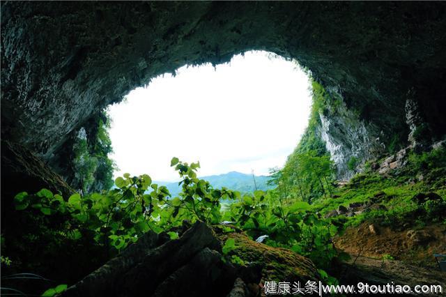 心理测试：你觉得哪一个洞口最深不可测?测出你近期要注意的问题