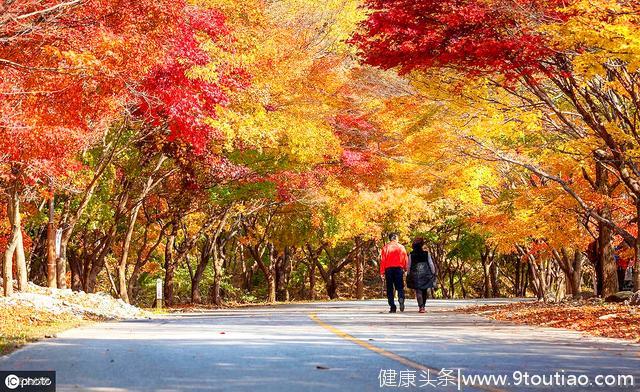 心理学：你想去哪条路上看风景，测出你有哪种好运在前面等着你