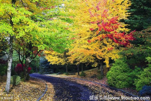 心理学：你想去哪条路上看风景，测出你有哪种好运在前面等着你