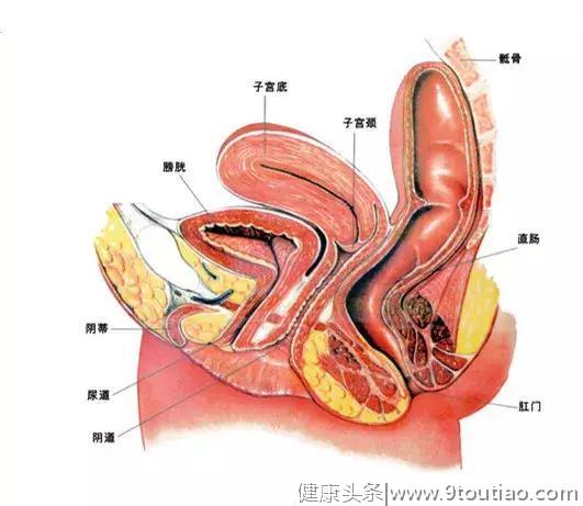 更年期要不要补充雌激素？