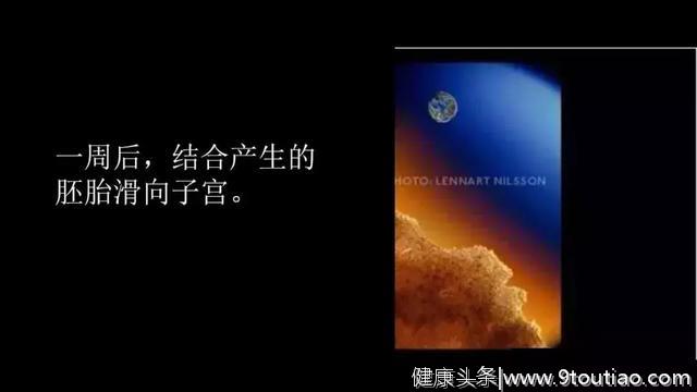 真实的宝宝在子宫里长什么样？看完太震撼了……