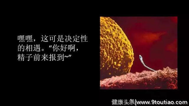 真实的宝宝在子宫里长什么样？看完太震撼了……