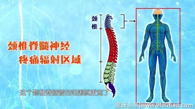 疼痛、麻木、发冷？医生：跟我学缓解颈椎锻炼方法和腰椎锻炼方法