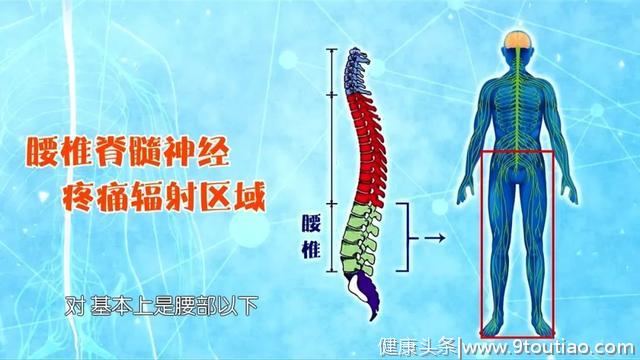 疼痛、麻木、发冷？医生：跟我学缓解颈椎锻炼方法和腰椎锻炼方法