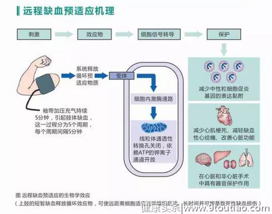 适当的运动可以降血压！高血压患者快看看你适合哪种运动？