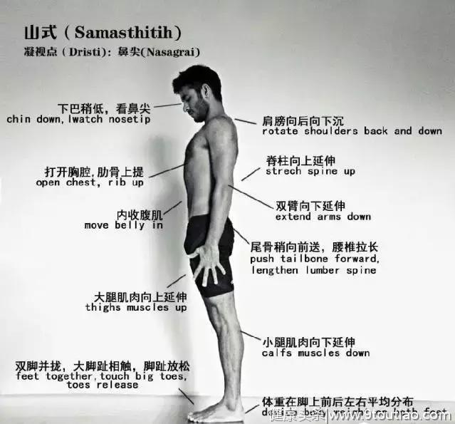 一个合格的瑜伽练习者，只需要练好这2个体式！