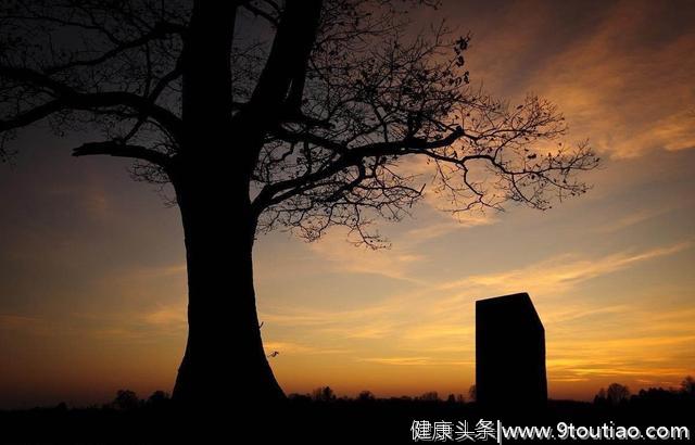 大学生患白血病放弃治疗，得知原因后，网友泪目