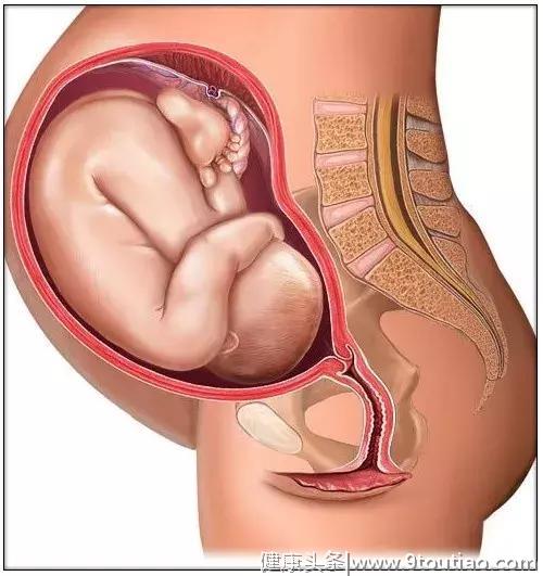 怀孕1到10个月的胎儿是如何发育的？以及每个阶段孕妈妈要怎么做