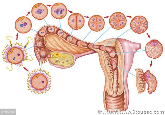 痛经是子宫内膜异位症最为常见的症状，子宫内膜异位症检查方法