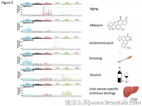 肝癌基因组测序研究总结