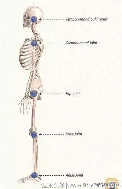 练瑜伽，如何找到腰椎的中立位，避免腰部疼痛？