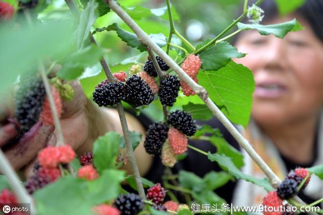 肤康中研白癜风讲堂：白癜风患者夏天防反复多吃3水果注意11事