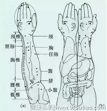 看懂这张图，穴位不用找（人体全息图）