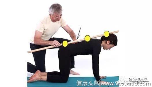 初学者练瑜伽，保持腰椎前凸曲线很重要！