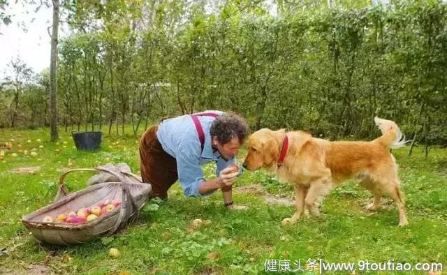 他用一朵花，治好了自己的抑郁症