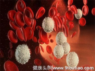 血常规哪些方面有问题才是白血病呢？