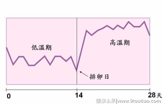 若你正在备孕，你要知道怀孕的早期信号有哪些