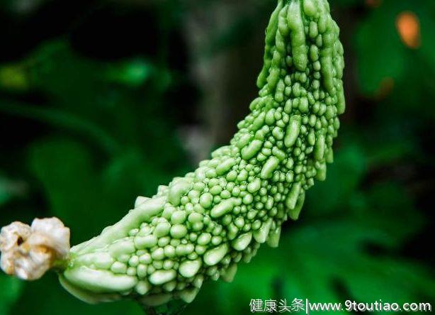 食物四气五味大全，构建属于你自己的食谱