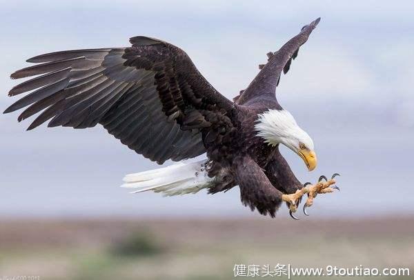 心理学：如何觉察自己的潜意识？学会问自己问题