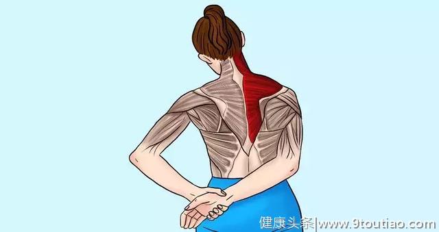 10张精准拉伸解剖图，“肩颈疼痛”这样练就对了！