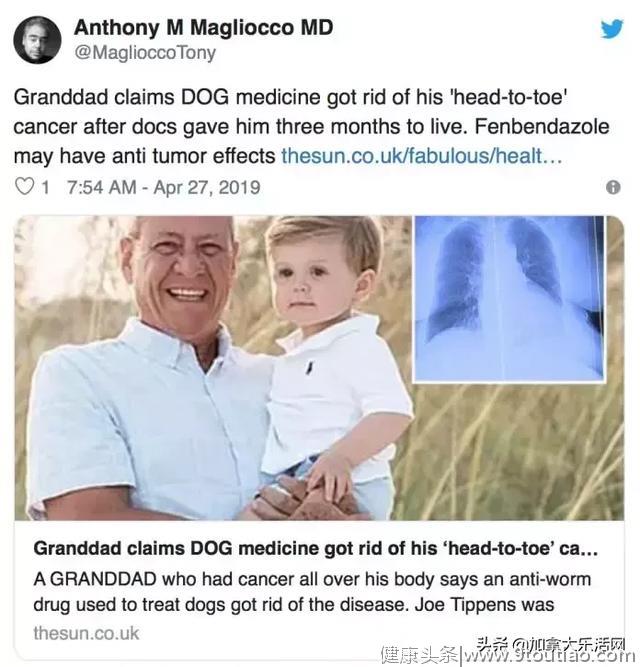 癌症晚期仅剩3个月 他却靠吃狗药痊愈!? 是真的么?
