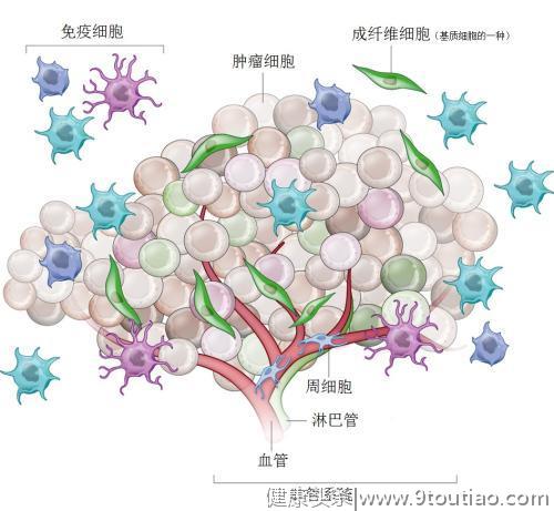 一糖防百癌？研究发现高血糖促进癌症的转移。