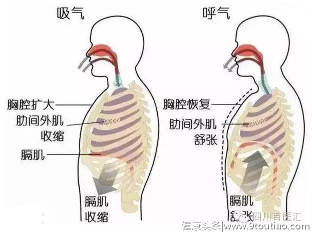 呼吸系统疾病的康复治疗