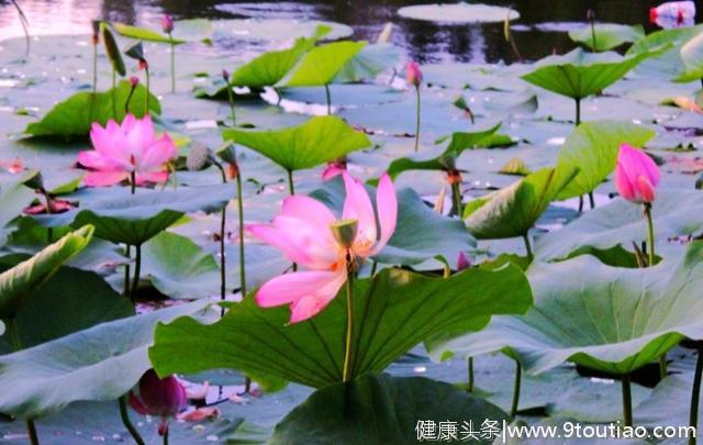 60岁以上的人的要珍惜人生 情谊大于天 相聚相会吃什么已经不重要